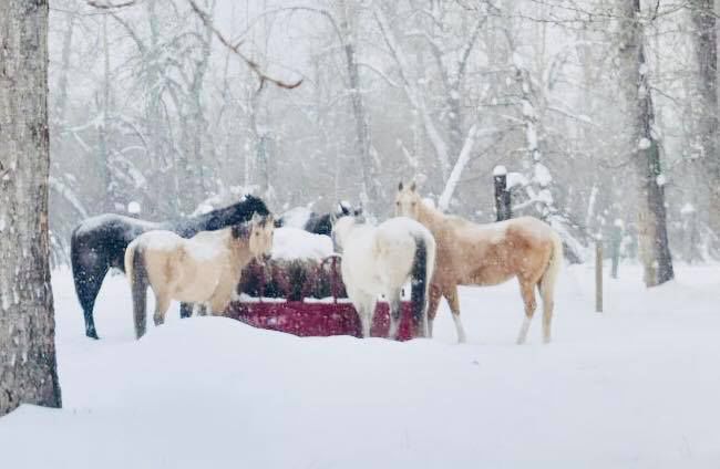 Montana snow photos from readers